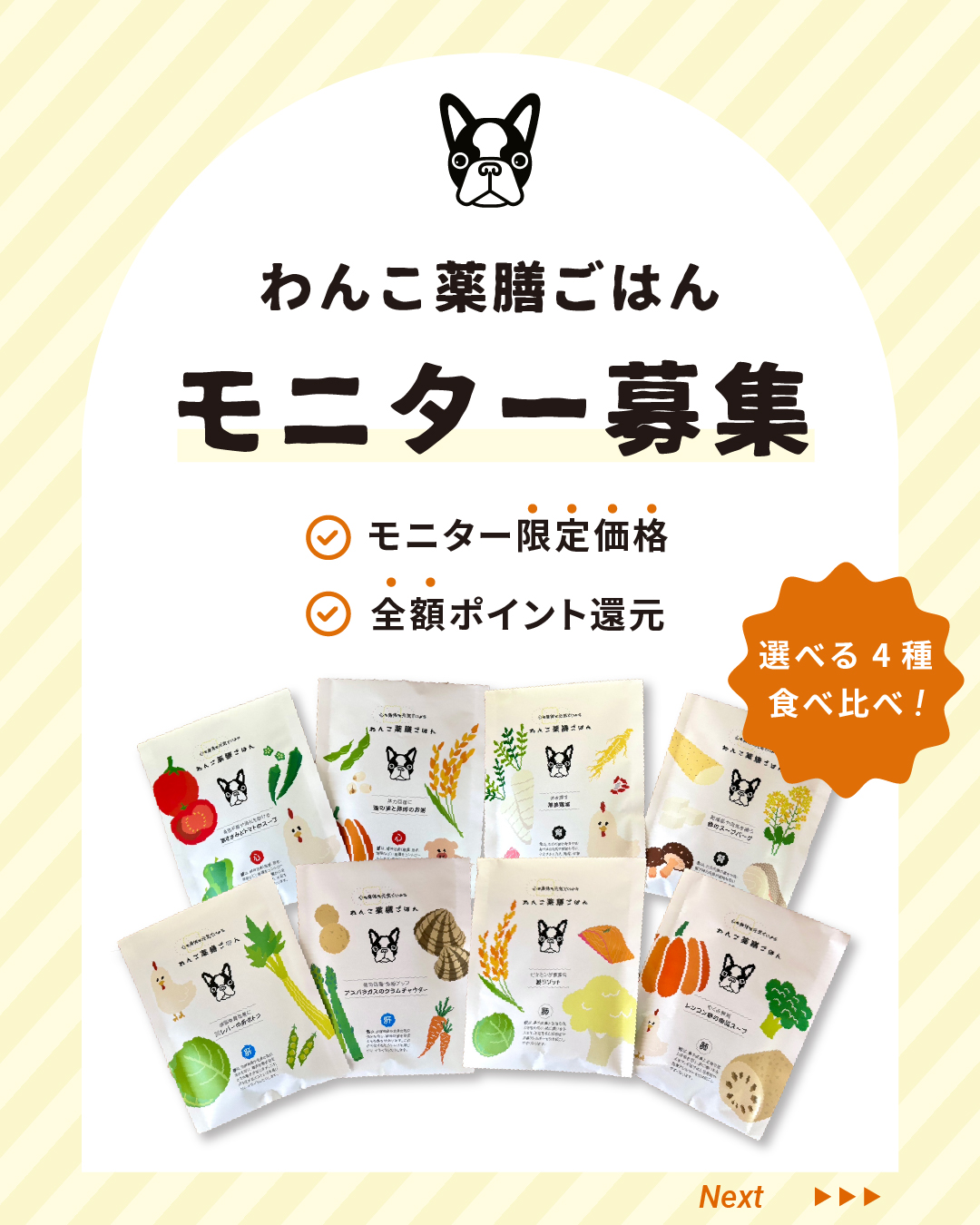 ※モニター募集概要※